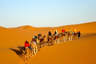10 Reasons to Hire a Travel Agency for Your Morocco Tour!