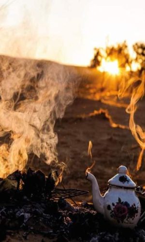 54522200_2326125230996984_1138122395924561920_n